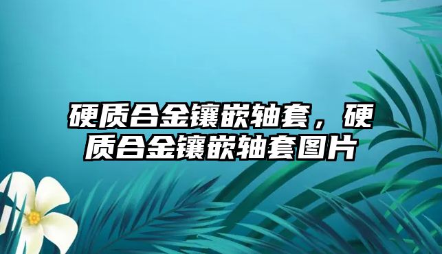 硬質(zhì)合金鑲嵌軸套，硬質(zhì)合金鑲嵌軸套圖片