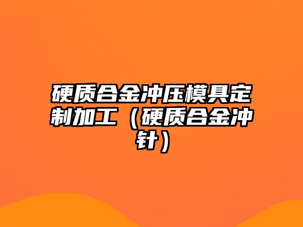 硬質(zhì)合金沖壓模具定制加工（硬質(zhì)合金沖針）