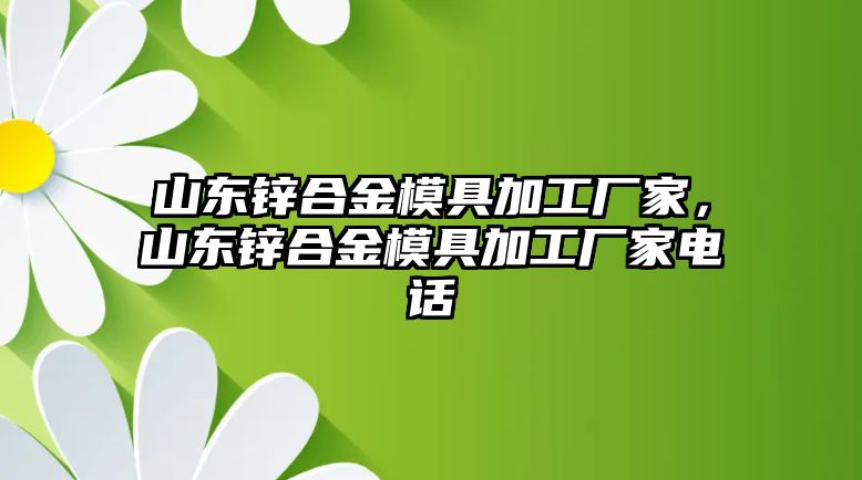 山東鋅合金模具加工廠家，山東鋅合金模具加工廠家電話