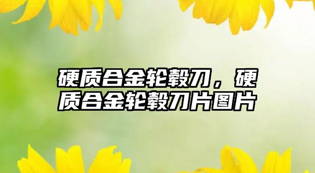 硬質合金輪轂刀，硬質合金輪轂刀片圖片