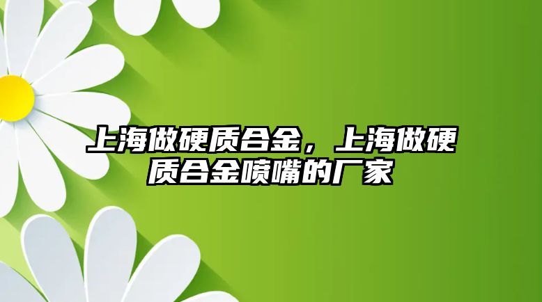 上海做硬質(zhì)合金，上海做硬質(zhì)合金噴嘴的廠家