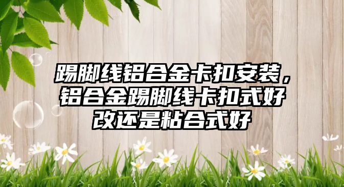 踢腳線鋁合金卡扣安裝，鋁合金踢腳線卡扣式好改還是粘合式好