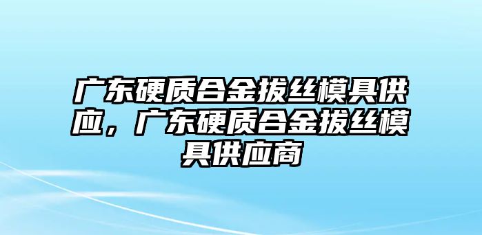 廣東硬質合金拔絲模具供應，廣東硬質合金拔絲模具供應商