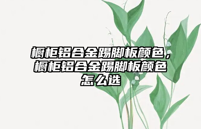 櫥柜鋁合金踢腳板顏色，櫥柜鋁合金踢腳板顏色怎么選