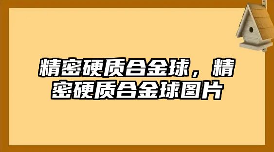 精密硬質(zhì)合金球，精密硬質(zhì)合金球圖片