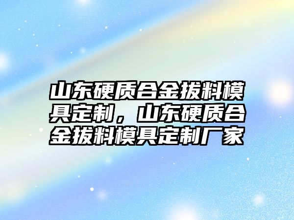 山東硬質(zhì)合金拔料模具定制，山東硬質(zhì)合金拔料模具定制廠家