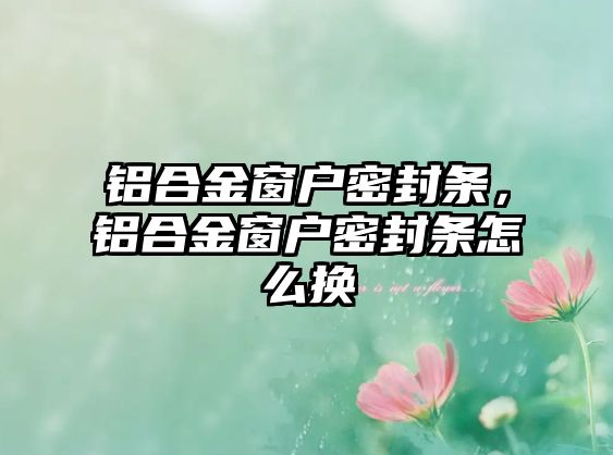 鋁合金窗戶密封條，鋁合金窗戶密封條怎么換