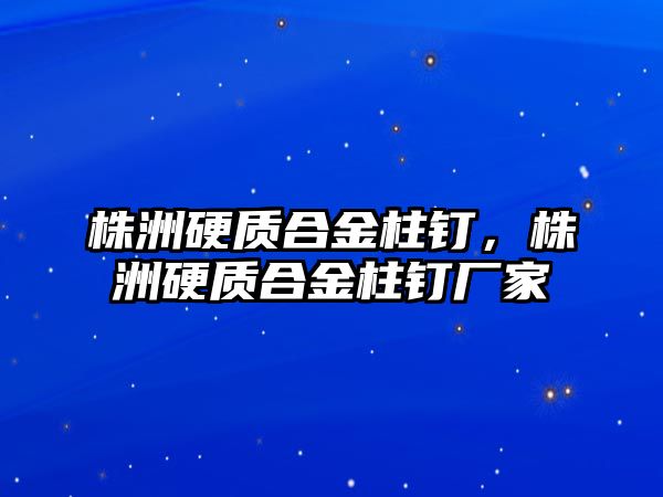 株洲硬質(zhì)合金柱釘，株洲硬質(zhì)合金柱釘廠家