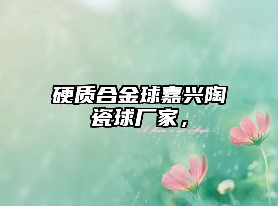 硬質(zhì)合金球嘉興陶瓷球廠家，