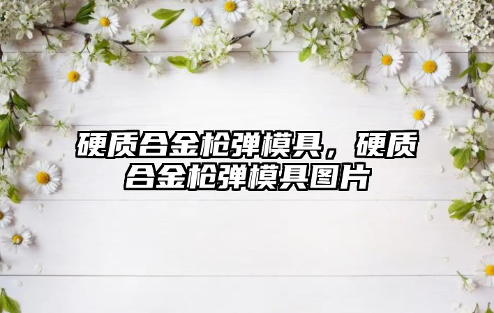 硬質(zhì)合金槍彈模具，硬質(zhì)合金槍彈模具圖片