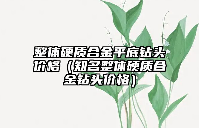 整體硬質(zhì)合金平底鉆頭價(jià)格（知名整體硬質(zhì)合金鉆頭價(jià)格）