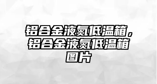 鋁合金液氮低溫箱，鋁合金液氮低溫箱圖片