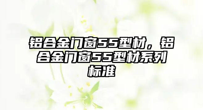 鋁合金門窗55型材，鋁合金門窗55型材系列標(biāo)準(zhǔn)