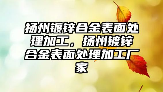 揚州鍍鋅合金表面處理加工，揚州鍍鋅合金表面處理加工廠家