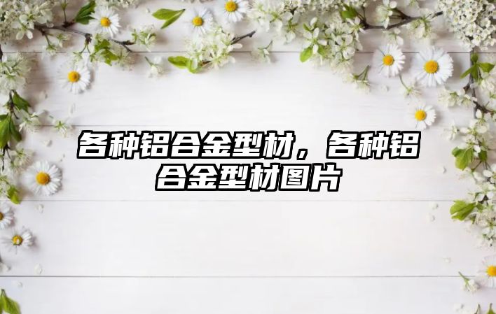 各種鋁合金型材，各種鋁合金型材圖片