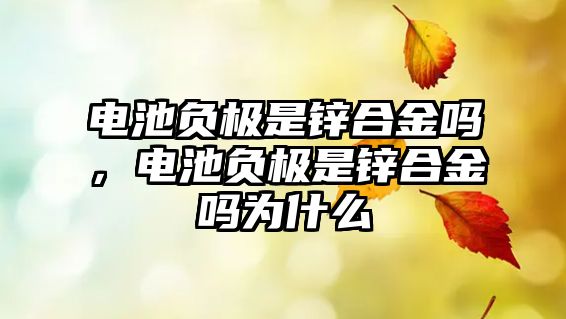 電池負(fù)極是鋅合金嗎，電池負(fù)極是鋅合金嗎為什么