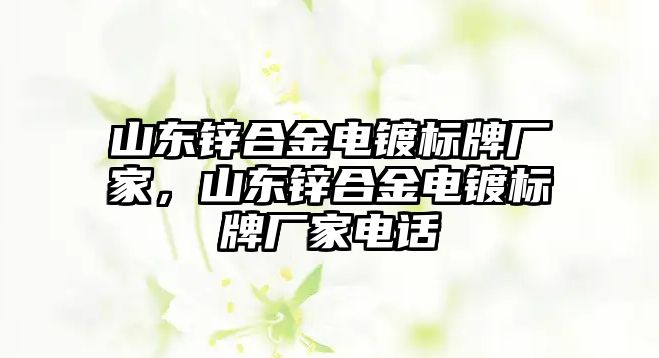 山東鋅合金電鍍標牌廠家，山東鋅合金電鍍標牌廠家電話