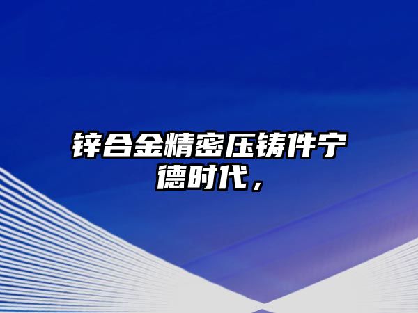 鋅合金精密壓鑄件寧德時(shí)代，