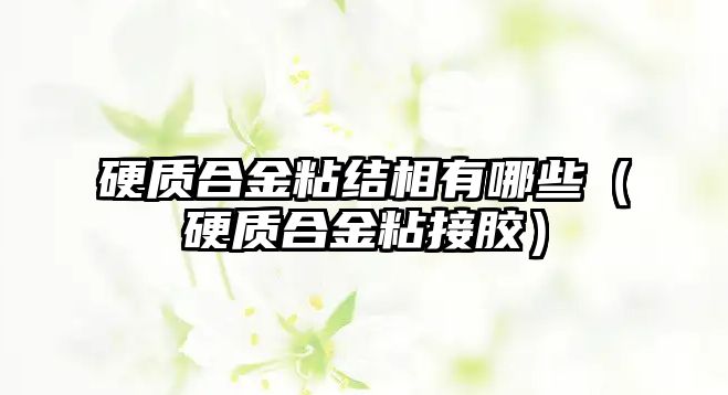 硬質(zhì)合金粘結(jié)相有哪些（硬質(zhì)合金粘接膠）