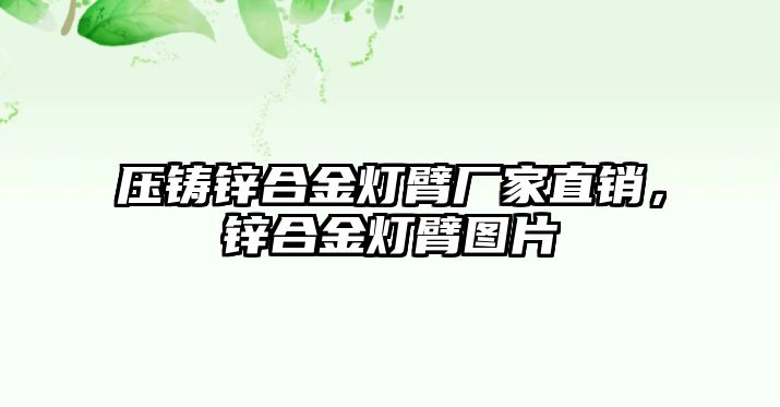 壓鑄鋅合金燈臂廠家直銷，鋅合金燈臂圖片