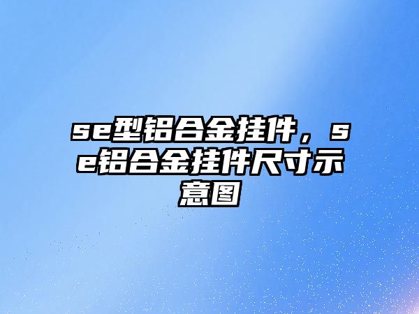 se型鋁合金掛件，se鋁合金掛件尺寸示意圖