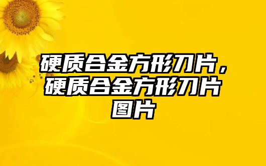 硬質(zhì)合金方形刀片，硬質(zhì)合金方形刀片圖片