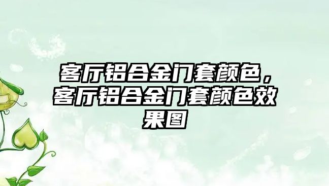 客廳鋁合金門套顏色，客廳鋁合金門套顏色效果圖