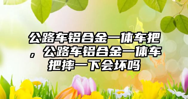 公路車鋁合金一體車把，公路車鋁合金一體車把摔一下會(huì)壞嗎