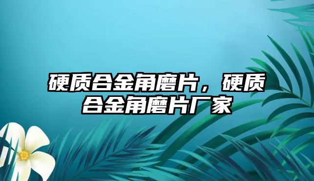 硬質(zhì)合金角磨片，硬質(zhì)合金角磨片廠家