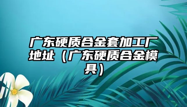 廣東硬質(zhì)合金套加工廠地址（廣東硬質(zhì)合金模具）