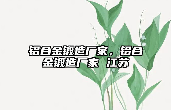 鋁合金鍛造廠家，鋁合金鍛造廠家 江蘇