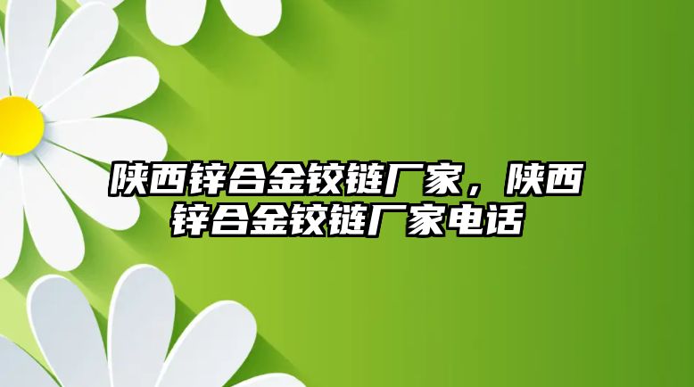 陜西鋅合金鉸鏈廠家，陜西鋅合金鉸鏈廠家電話