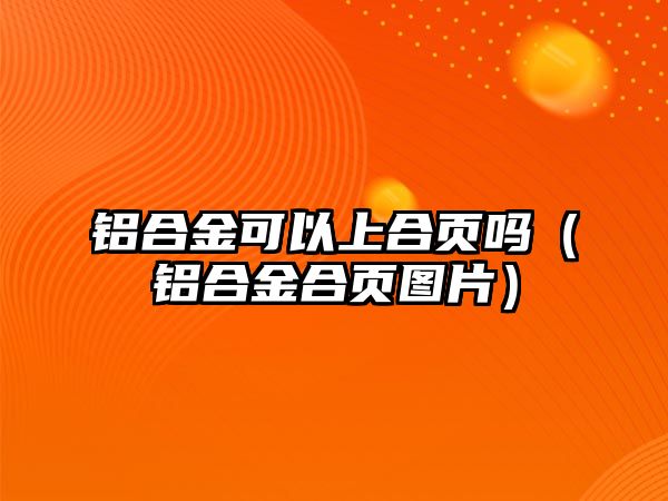 鋁合金可以上合頁(yè)嗎（鋁合金合頁(yè)圖片）