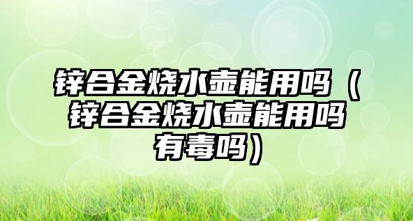 鋅合金燒水壺能用嗎（鋅合金燒水壺能用嗎有毒嗎）