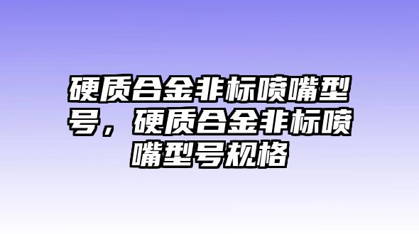 硬質(zhì)合金非標噴嘴型號，硬質(zhì)合金非標噴嘴型號規(guī)格