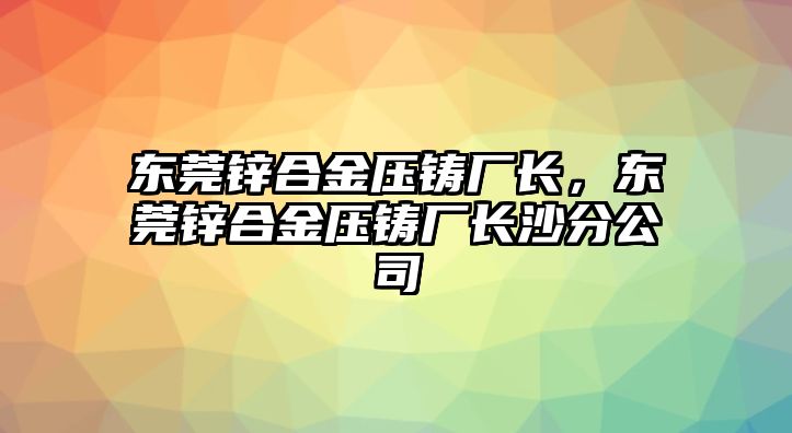 東莞鋅合金壓鑄廠長，東莞鋅合金壓鑄廠長沙分公司