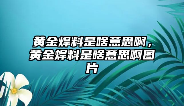 黃金焊料是啥意思啊，黃金焊料是啥意思啊圖片