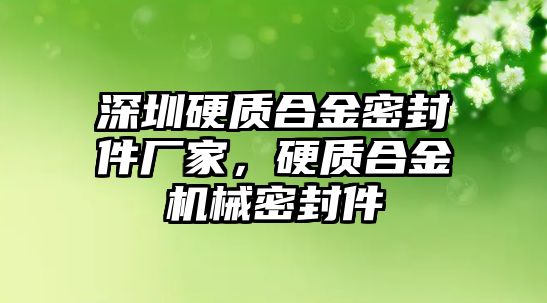 深圳硬質合金密封件廠家，硬質合金機械密封件