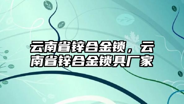 云南省鋅合金鎖，云南省鋅合金鎖具廠家