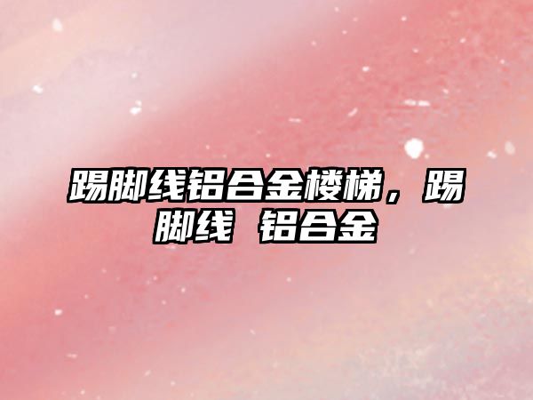 踢腳線鋁合金樓梯，踢腳線 鋁合金