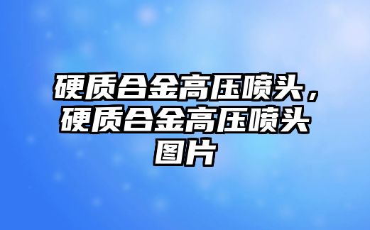 硬質合金高壓噴頭，硬質合金高壓噴頭圖片