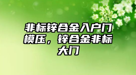 非標鋅合金入戶門模壓，鋅合金非標大門