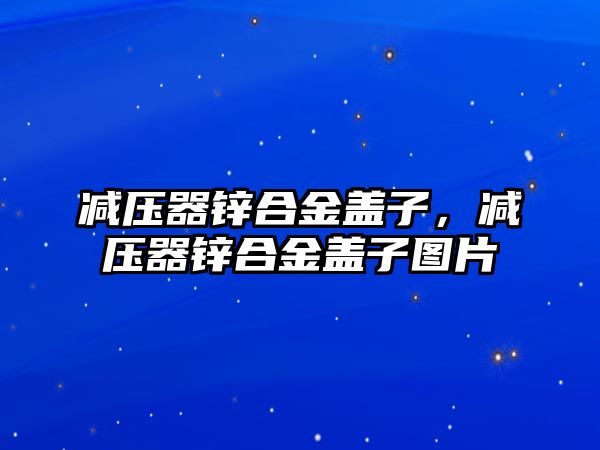 減壓器鋅合金蓋子，減壓器鋅合金蓋子圖片