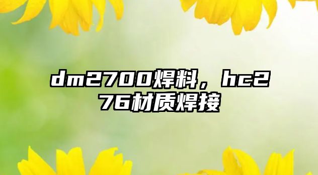 dm2700焊料，hc276材質(zhì)焊接