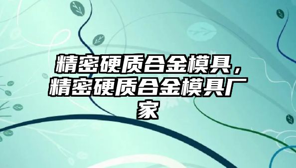 精密硬質(zhì)合金模具，精密硬質(zhì)合金模具廠家