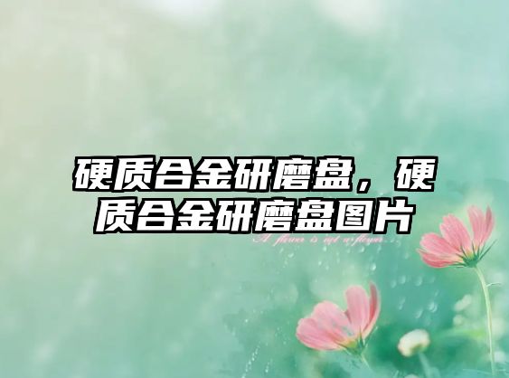 硬質合金研磨盤，硬質合金研磨盤圖片