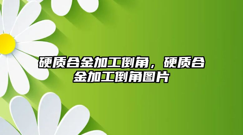 硬質(zhì)合金加工倒角，硬質(zhì)合金加工倒角圖片