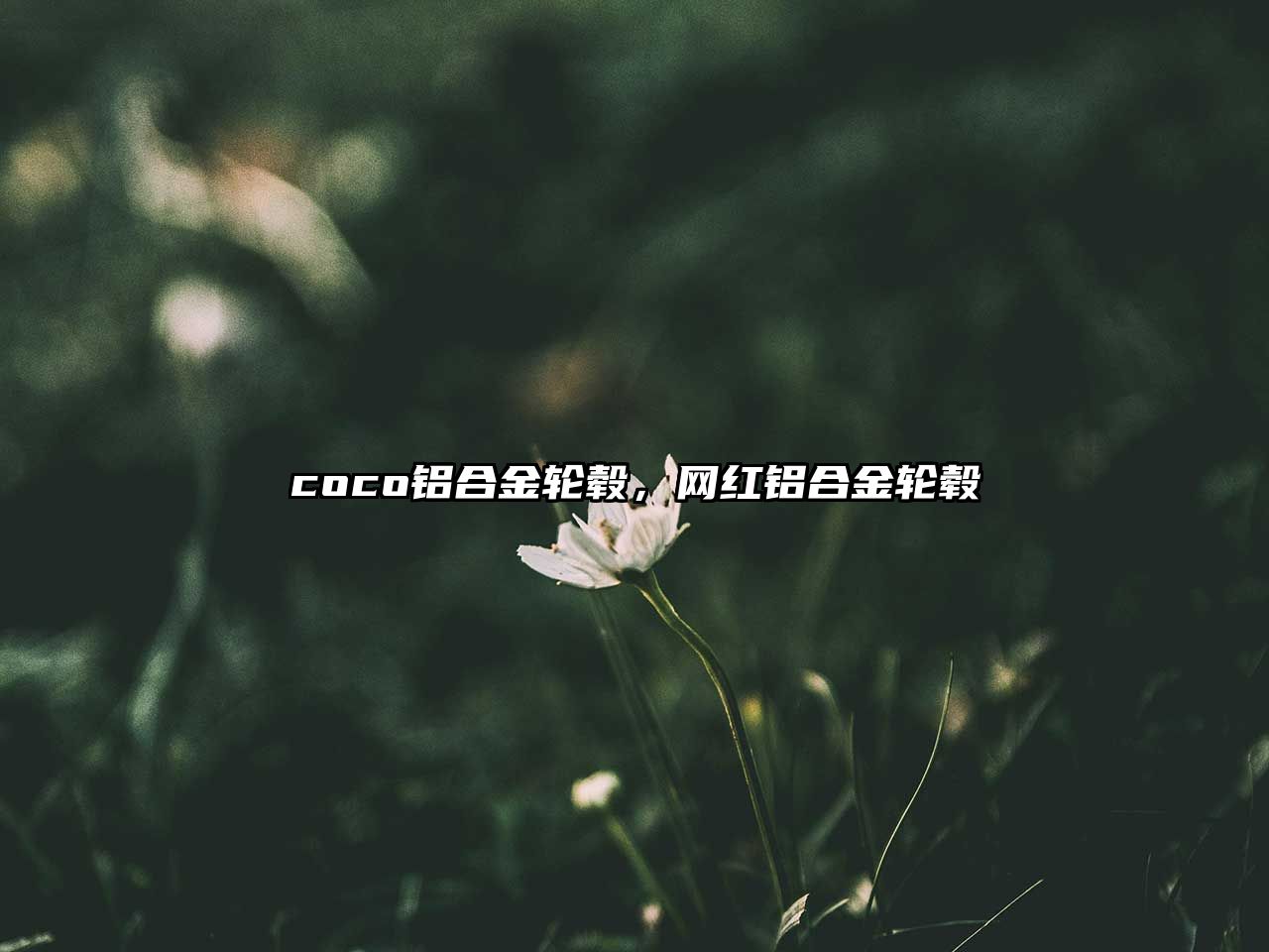 coco鋁合金輪轂，網(wǎng)紅鋁合金輪轂