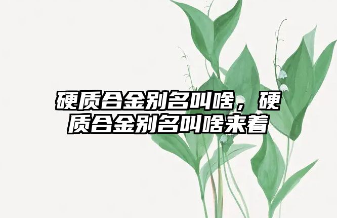 硬質合金別名叫啥，硬質合金別名叫啥來著