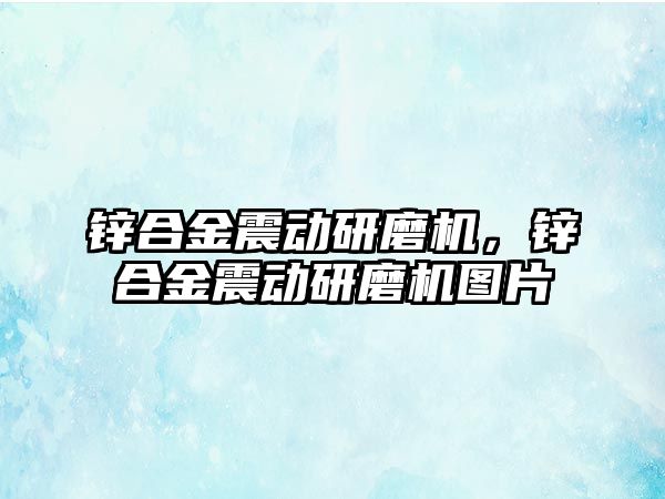 鋅合金震動研磨機(jī)，鋅合金震動研磨機(jī)圖片